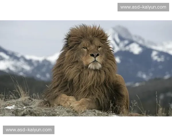 精密机械撞上大漠狂想：当瑞士十字军遇上阿特拉斯雄狮